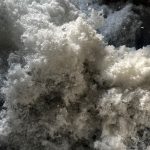 WhatsApp Image 2024-05-22 at 10.38.38